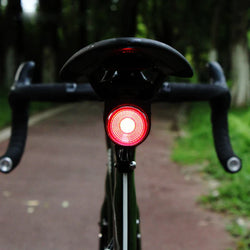 Anti-theft alarm for bike with taillight