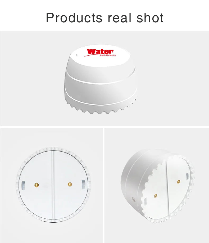 Smart Water Leak Detector