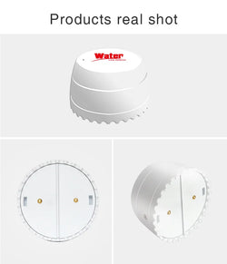 Smart Water Leak Detector