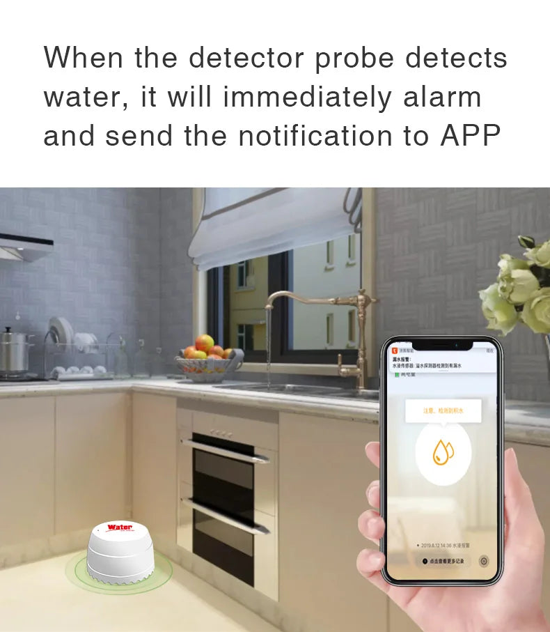 Smart Water Leak Detector