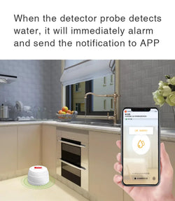 Smart Water Leak Detector