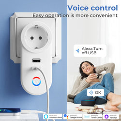 Wifi Smart Plug with USB and Alexa Control