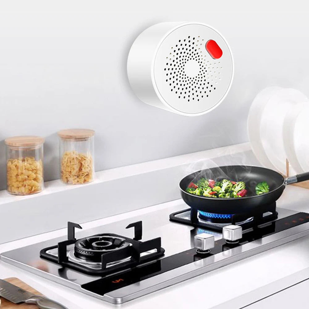 Gas Leakage Detector