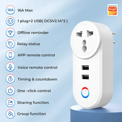 Wifi Smart Plug with USB and Alexa Control