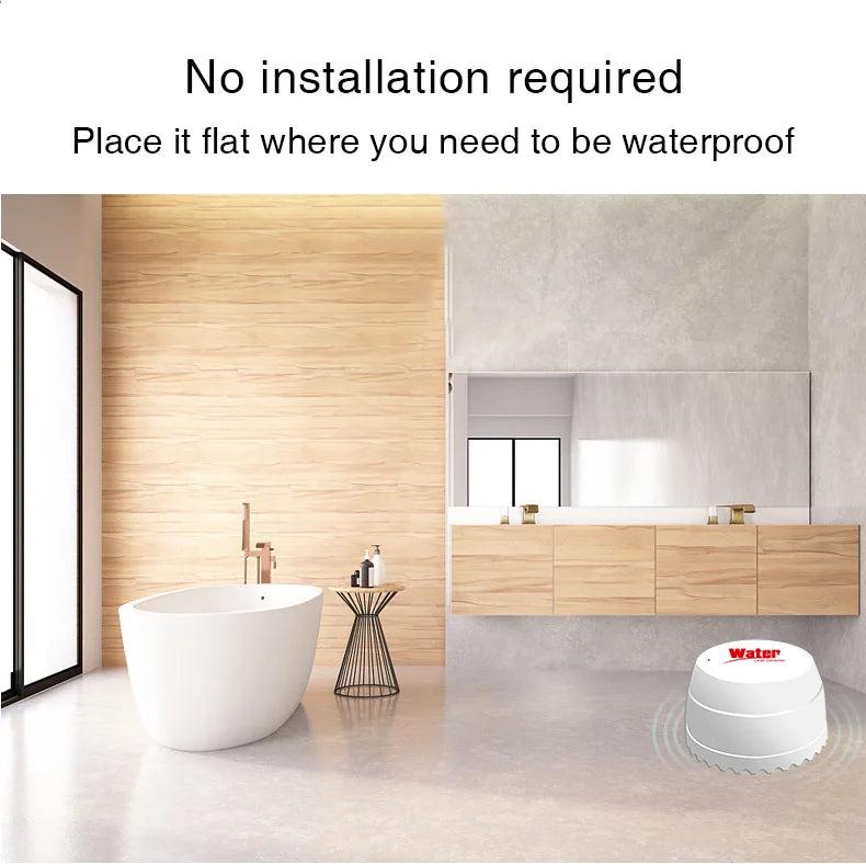 Smart Water Leak Detector