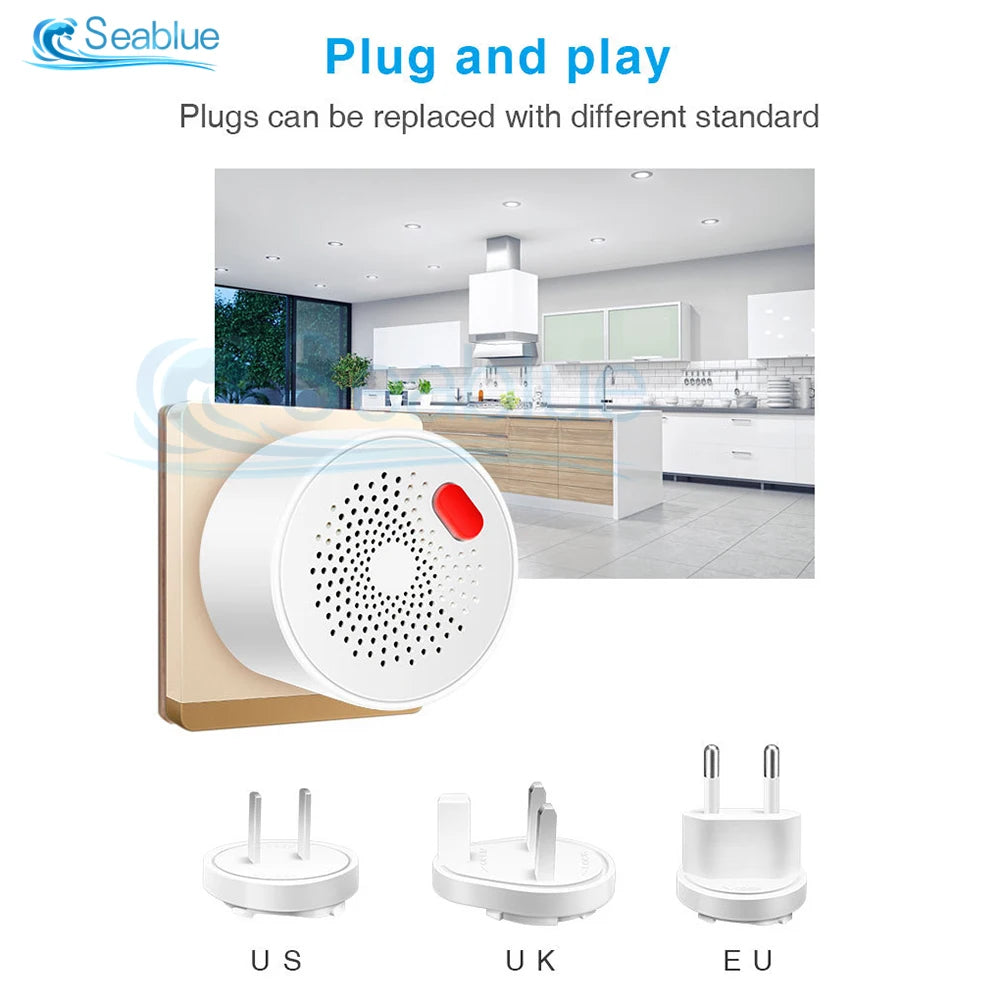 Gas Leakage Detector