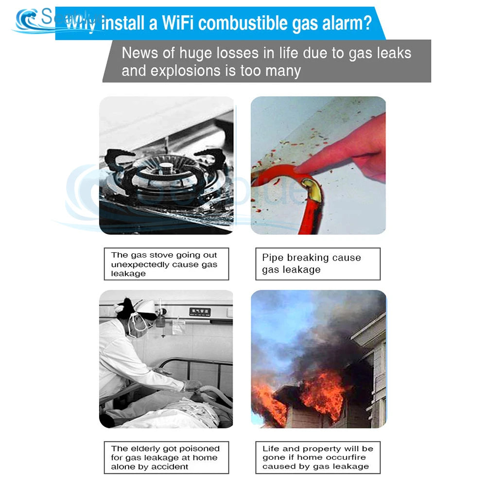 Gas Leakage Detector