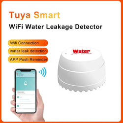 Smart Water Leak Detector