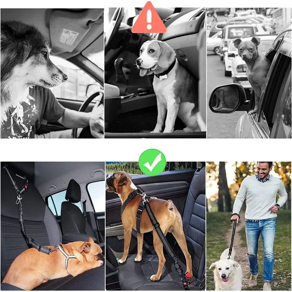 Adjustable dog car seatbelt for safe and secure car rides