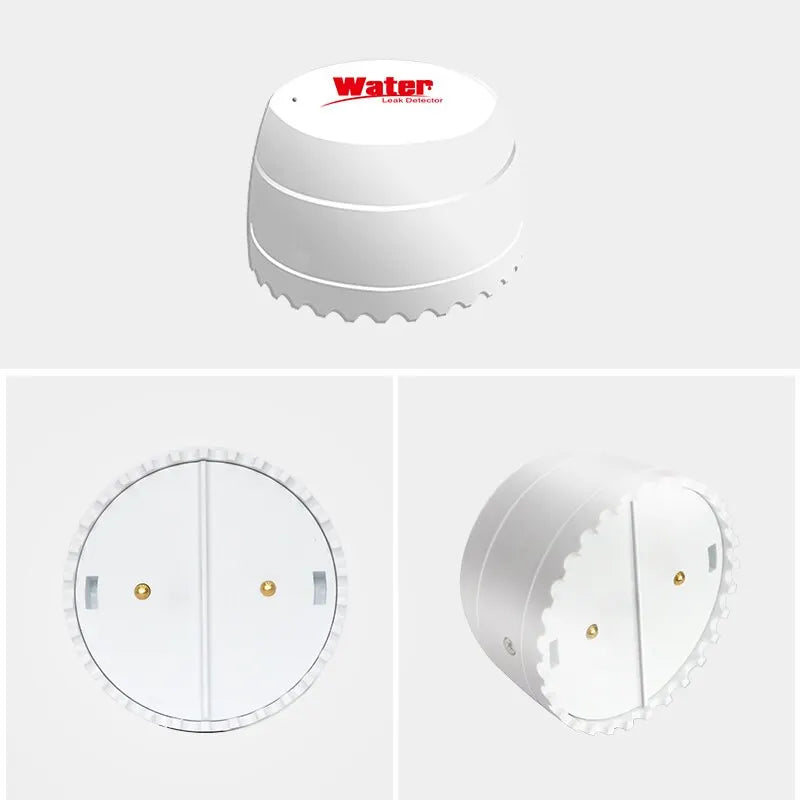 Smart Water Leak Detector